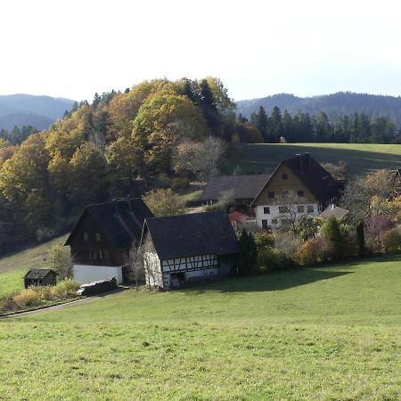 Ferienwohnung Hofenhof Schiltach Zewnętrze zdjęcie