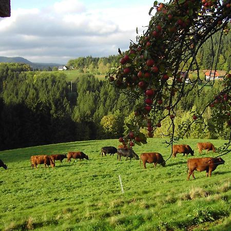 Ferienwohnung Hofenhof Schiltach Zewnętrze zdjęcie