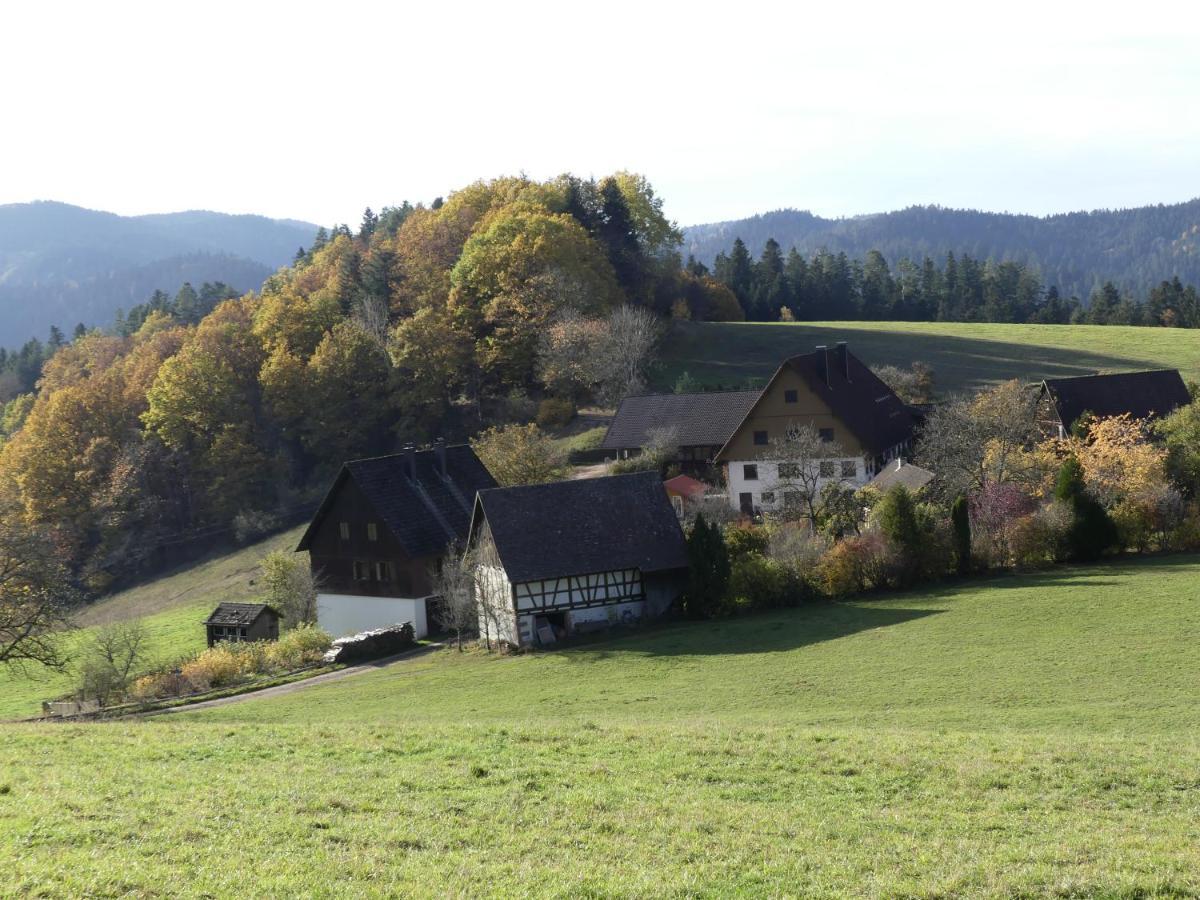 Ferienwohnung Hofenhof Schiltach Zewnętrze zdjęcie