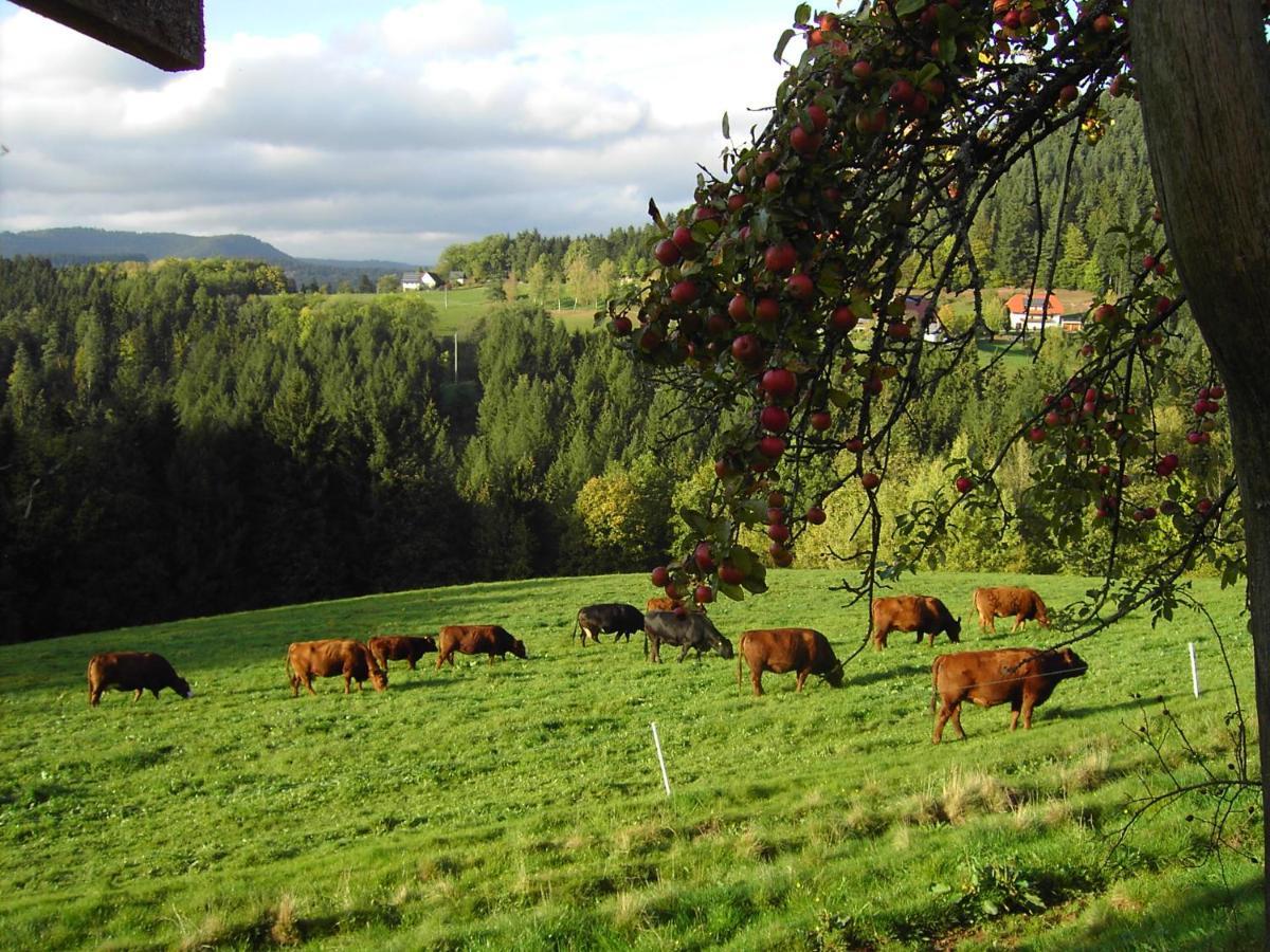 Ferienwohnung Hofenhof Schiltach Zewnętrze zdjęcie